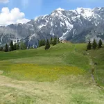Der Alpenhof