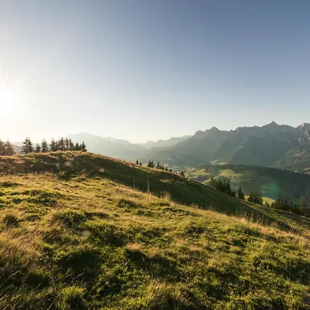 מלון Der Alpenhof