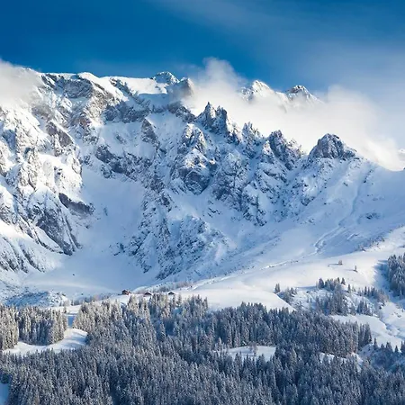 מלון Der Alpenhof מריה אלם אם שטיינרנן מיר