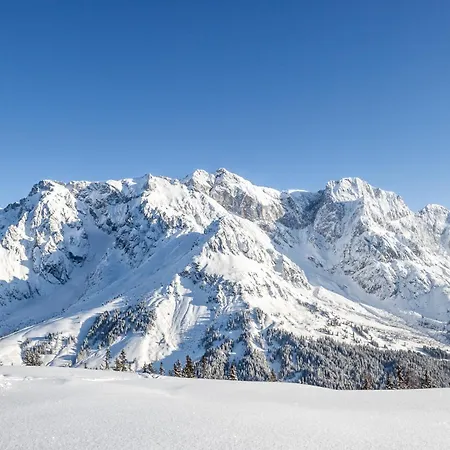 Der Alpenhof 3*