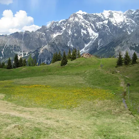 Der Alpenhof