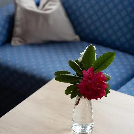 Der Alpenhof 3*