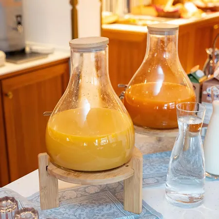 מלון Der Alpenhof 3*