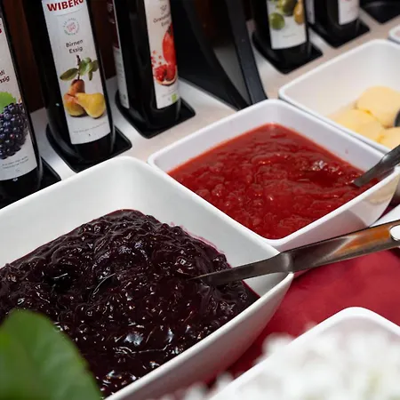 מלון Der Alpenhof מריה אלם אם שטיינרנן מיר