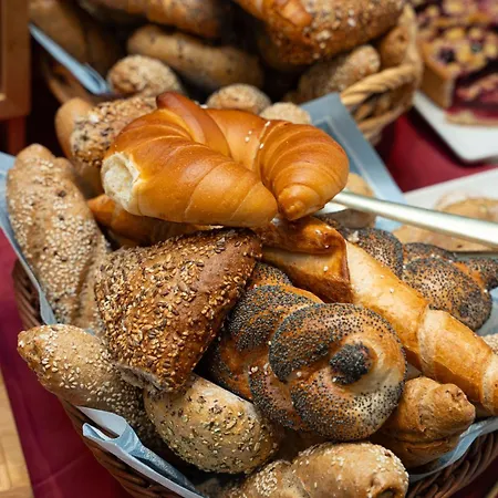 Der Alpenhof 3* מריה אלם אם שטיינרנן מיר