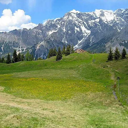 Hotel Der Alpenhof Maria Alm am Steinernen Meer