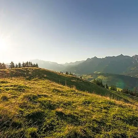 Hotel Der Alpenhof
