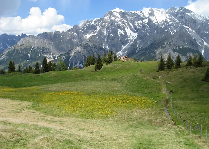 Der Alpenhof